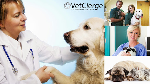 VetCierge Veterinary House Calls