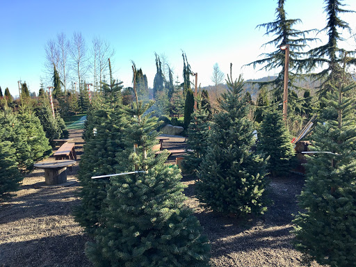 Event Venue «Dairyland», reviews and photos, 12125 Treosti Rd, Snohomish, WA 98290, USA