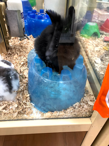 Pet Supply Store «Pet Supermarket», reviews and photos, 1080 Alafaya Trail, Oviedo, FL 32765, USA