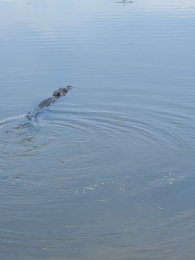 Park «Cypress Wetlands», reviews and photos, 1700 Paris Ave, Port Royal, SC 29935, USA