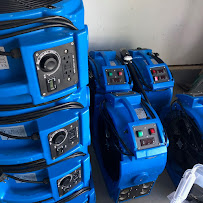 Cimex K9 Bed Bug Control - Photo 2 - Car repair in Alexandria, VA, Washington