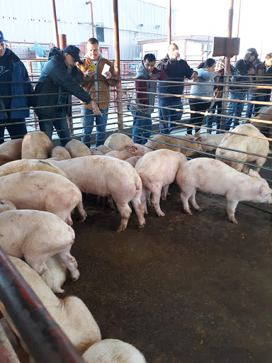 Meat Wholesaler «Lizze Custom Processing», reviews and photos, 7310 Pine Ave, Chino, CA 91708, USA