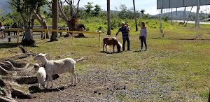 Ponylandia - photo 13