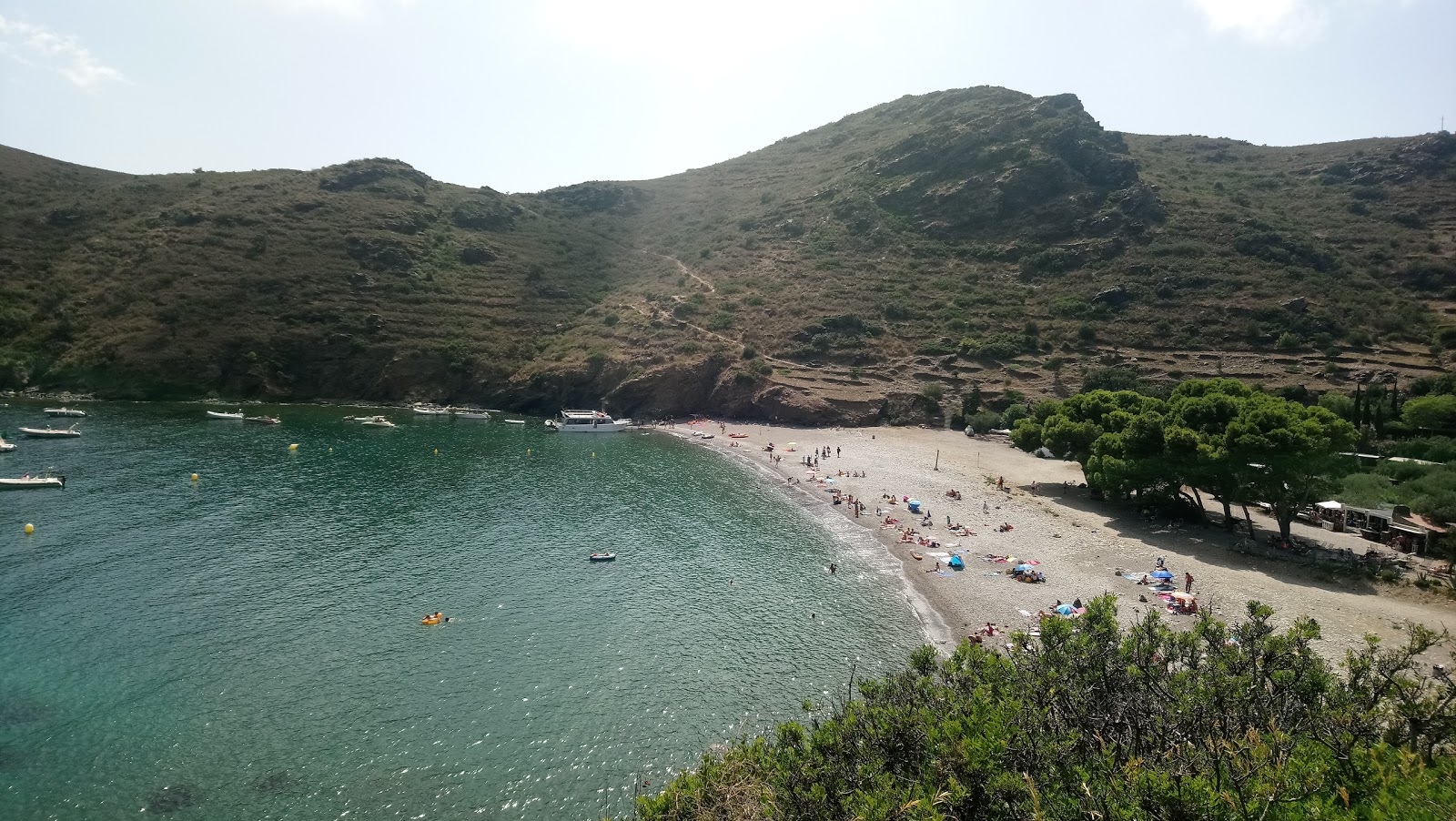 Photo of Platja de Joncols with very clean level of cleanliness