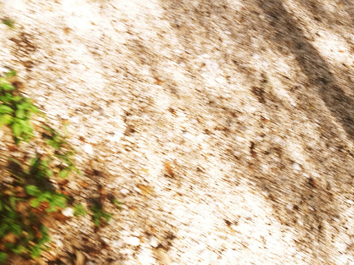 Park «MACARTHUR PARK», reviews and photos, 1611 NE Interstate 410 Loop, San Antonio, TX 78217, USA