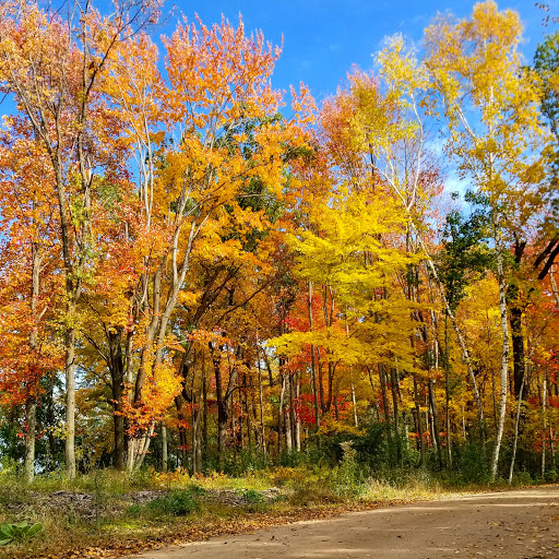 Nature Preserve «Lee & Rose Warner Nature Center», reviews and photos, 15375 Norell Ave N, Marine on St Croix, MN 55047, USA