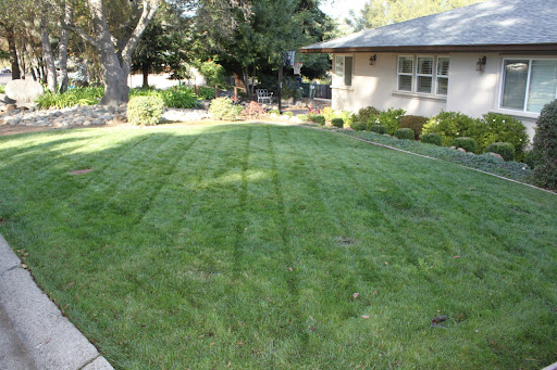 Cut Right Lawn Care