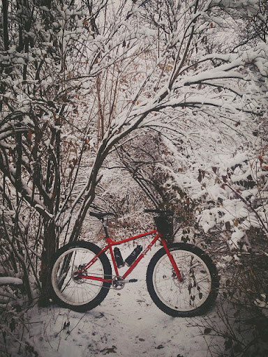 Bicycle Repair Shop «Revolution Cycles», reviews and photos, 2330 Atwood Ave, Madison, WI 53704, USA