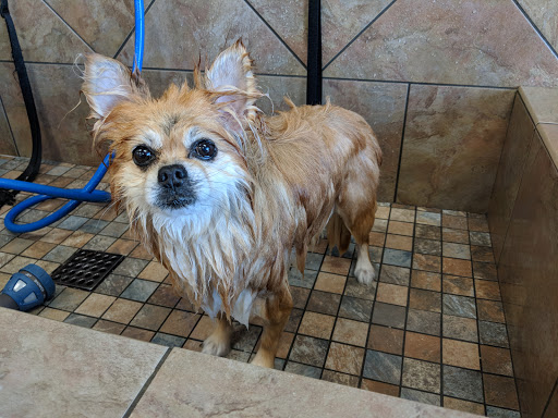 Pet Supply Store «Pet Valu», reviews and photos, 3491 Merchant Boulevard, Abingdon, MD 21009, USA