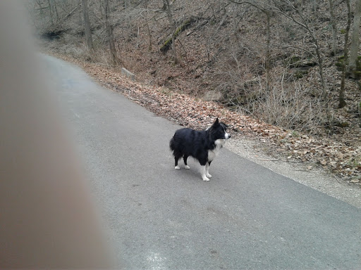 Pet Supply Store «Pet Supplies Plus», reviews and photos, 209 Towne Dr, Elizabethtown, KY 42701, USA