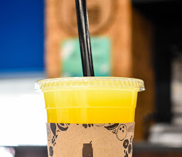 LECHADA PROVIDENCIA photo