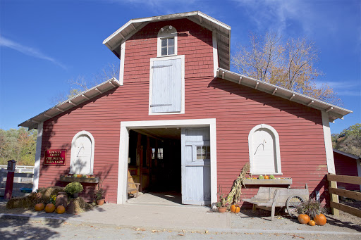 Park «Endicott Park (Town of Danvers)», reviews and photos, 57 Forest St, Danvers, MA 01923, USA