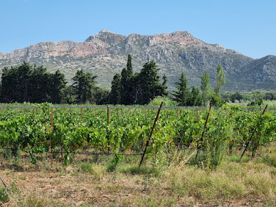 Domaine des Alpilles à Aureille