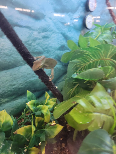 Pet Supply Store «Petco Animal Supplies», reviews and photos, 1933 South Rd, Poughkeepsie, NY 12601, USA