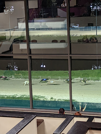 Resort «Mardi Gras Casino & Resort», reviews and photos, Greyhound Dr, Cross Lanes, WV 25313, USA