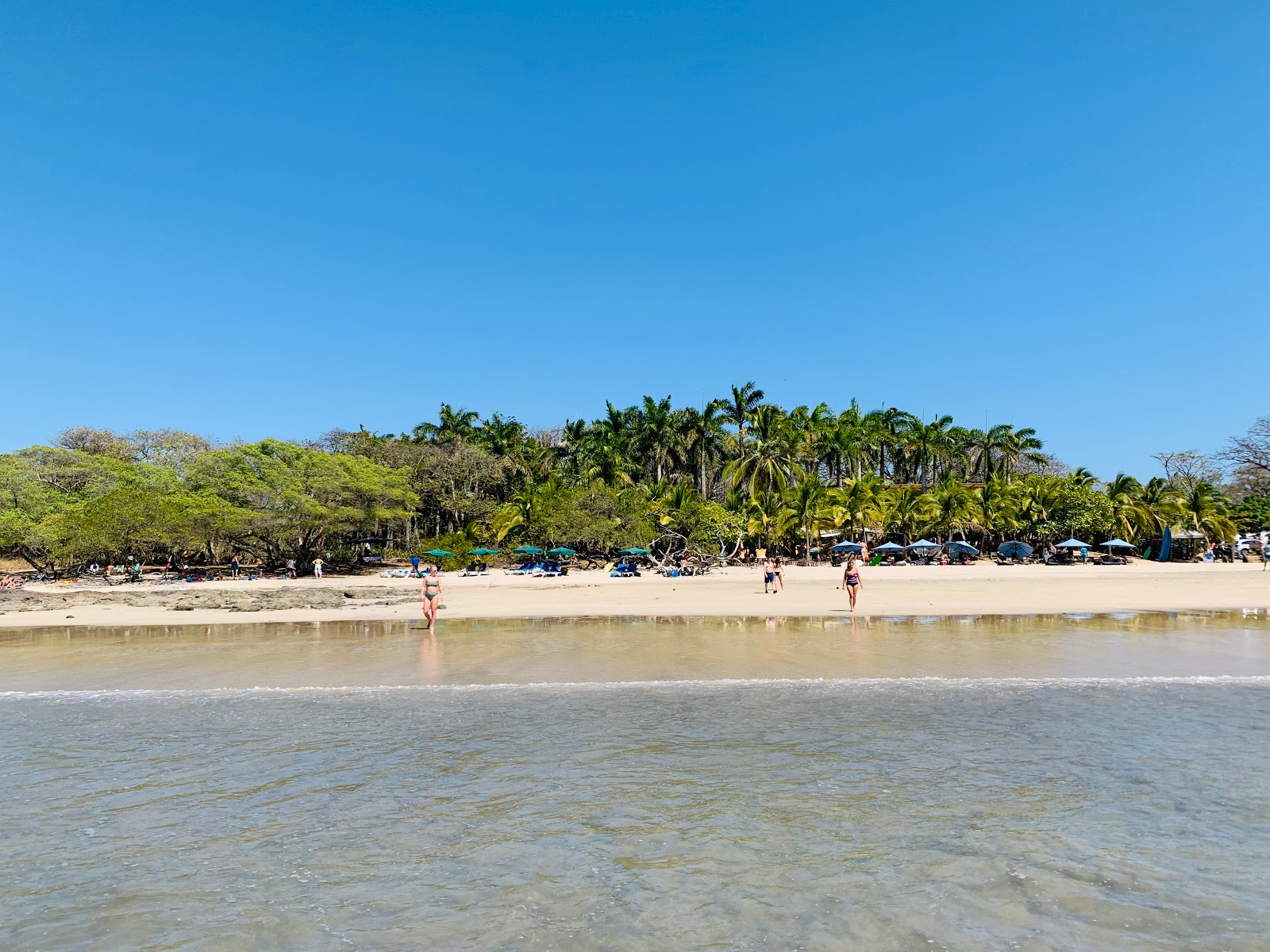 Foto av Playa Avellana - populär plats bland avkopplingskännare