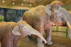 Kurashiki Museum of Natural History image