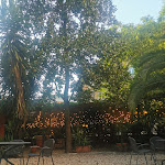 Photo n°4 de l'avis de Patricia.h fait le 14/08/2023 à 08:26 sur le  Hotel delle Muse à Rome