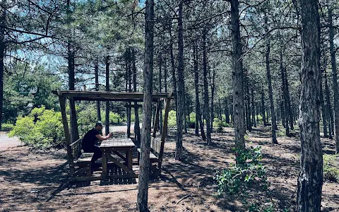 Eskişehir Urban Forest image