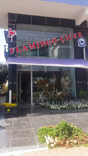 Flamingo Flower Delivery
