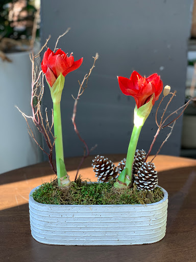 Florist «Red Square Flowers», reviews and photos, 337 W Mifflin St, Madison, WI 53703, USA