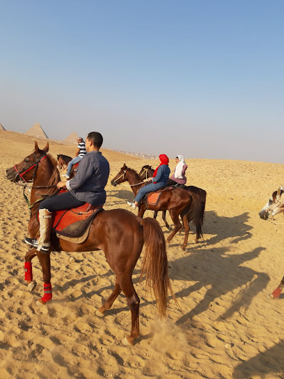 مربط السادن للخيول العربية الأصيلة