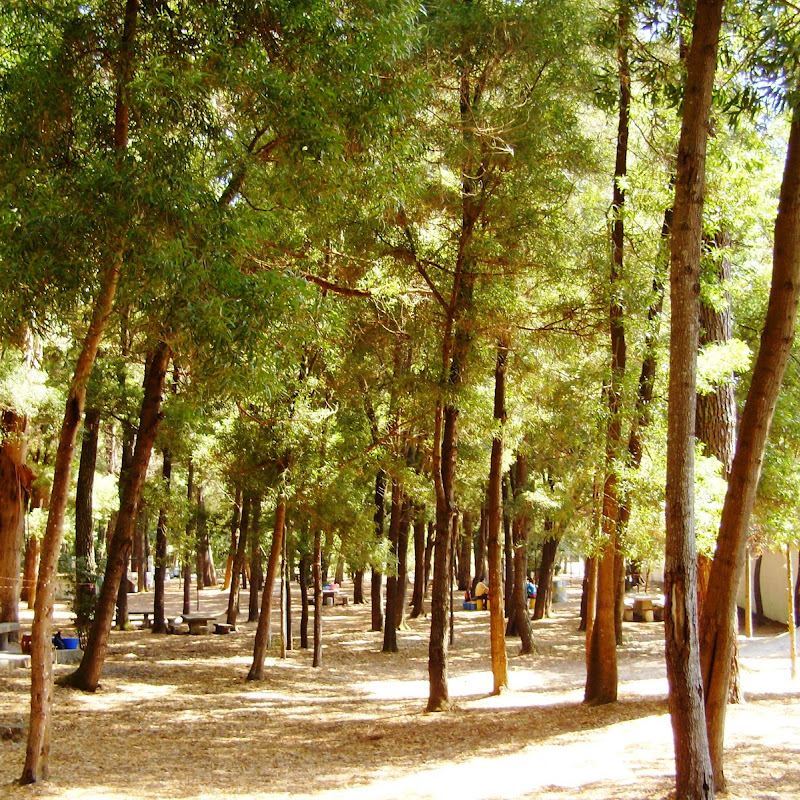 Parque do Buçaquinho (Cortegaça)