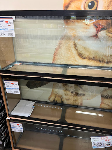 Pet Supply Store «Pet Supplies Plus», reviews and photos, 1937 FL-60, Valrico, FL 33594, USA