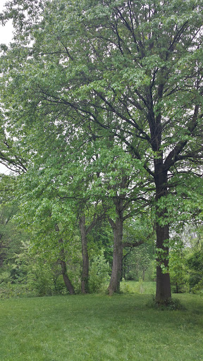 Park «Plum Creek Park», reviews and photos, Cherry St, Kent, OH 44240, USA