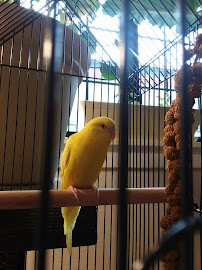 Petco - Photo 9 - Car repair in Portland, OR, Portland