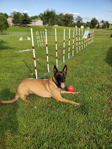 Pet Supply Store «Pet Supplies Plus», reviews and photos, 209 Towne Dr, Elizabethtown, KY 42701, USA