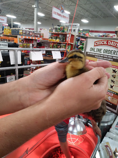 Home Improvement Store «Tractor Supply Co.», reviews and photos, 176 Finley Rd, Belle Vernon, PA 15012, USA