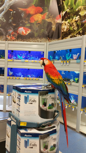 Pet Supply Store «PetSmart», reviews and photos, 33963 Doheny Park Rd, San Juan Capistrano, CA 92675, USA