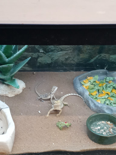 Pet Supply Store «Petco Animal Supplies», reviews and photos, 5631 Grove Blvd, Hoover, AL 35226, USA