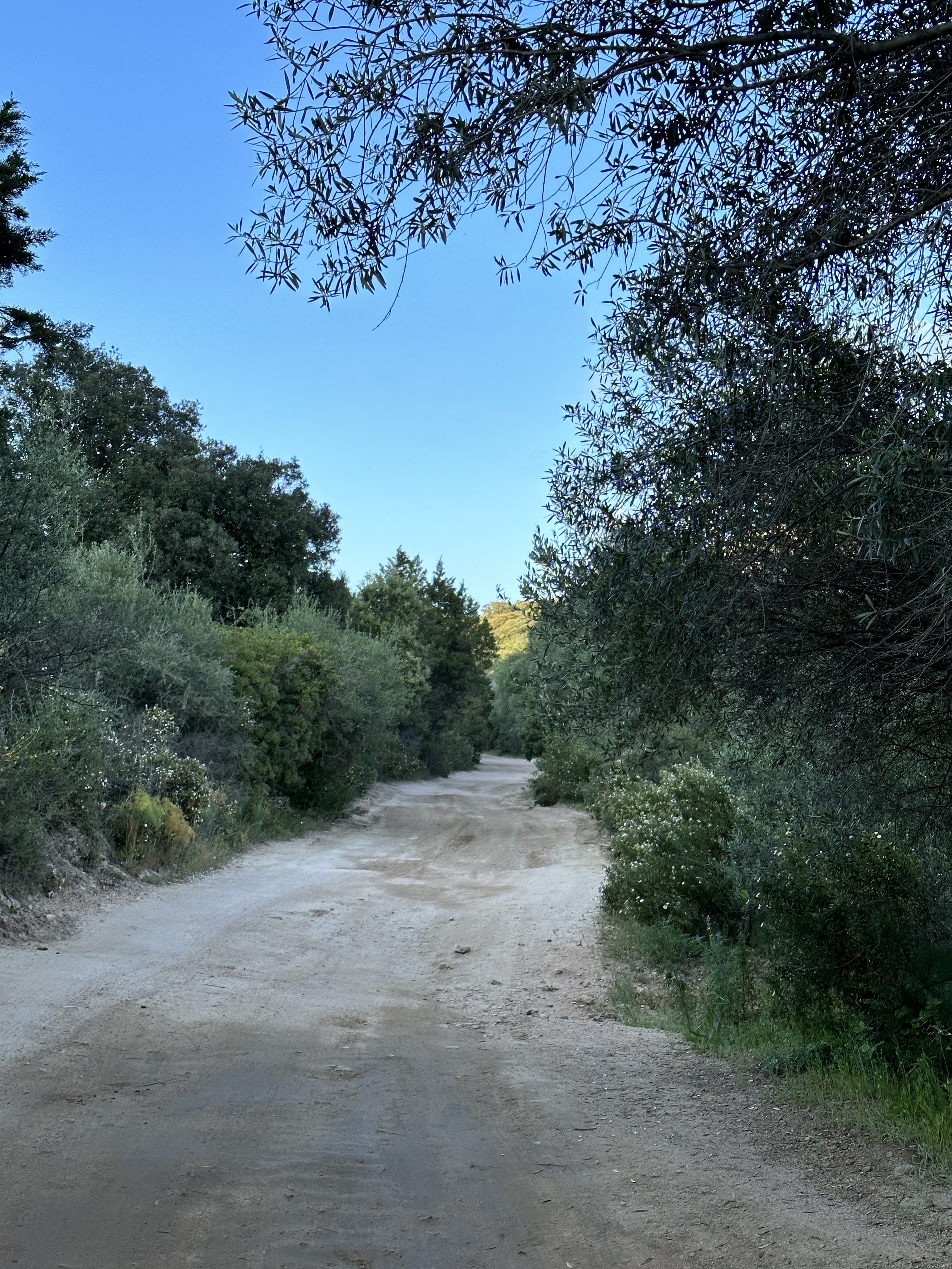 Photo n° 11 de l'avis de Amelie. fait le 29/05/2019 à 20:08