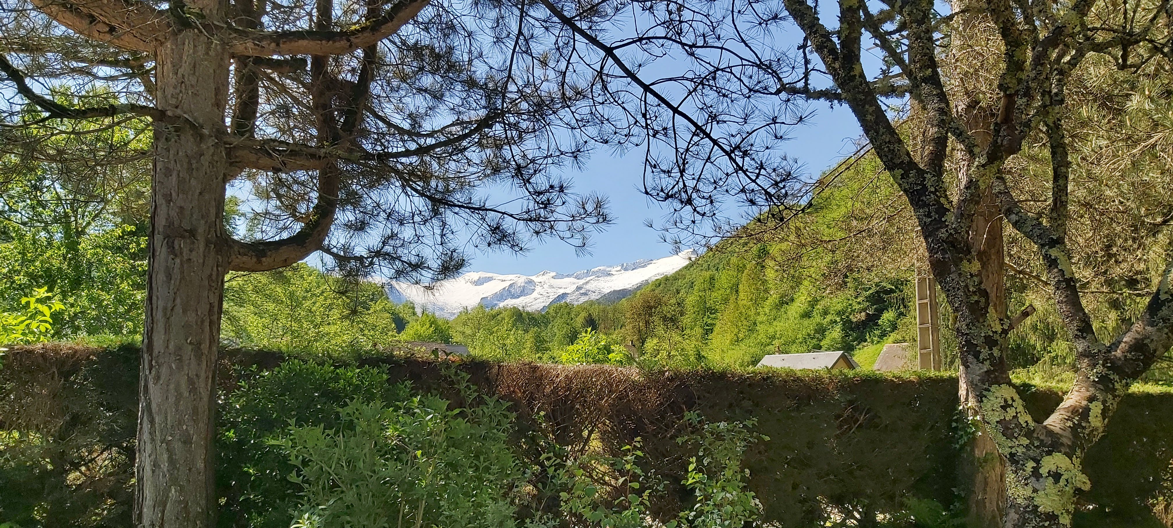 Photo n° 2 de l'avis de Marc.u fait le 14/05/2021 à 17:03