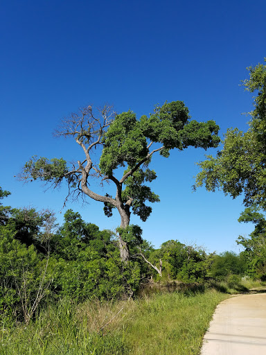 Park «Culebra Creek Park», reviews and photos, 10919 Westwood Loop, San Antonio, TX 78254, USA