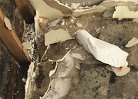 Monokuro Water Damage - Photo 3 - Car repair in Brandon, FL, Brandon