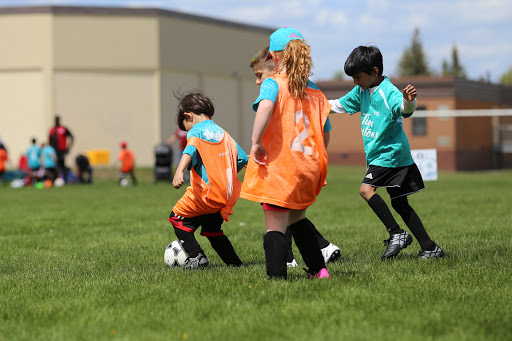 Calgary Minor Soccer Association