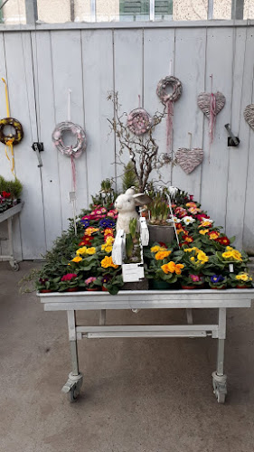 Rezensionen über Gärtnerei Vogel in Aarau - Blumengeschäft