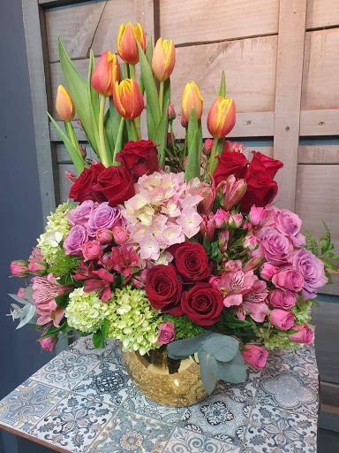 Betty Flower – Cuautitlán Izcalli