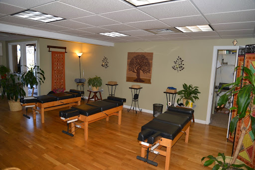 Araya Chiropractic Wellness Center