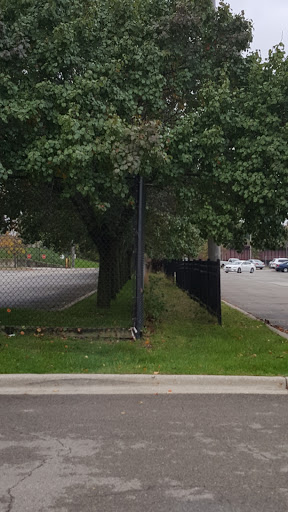 Discount Store «Kmart», reviews and photos, 3443 W Addison St, Chicago, IL 60618, USA