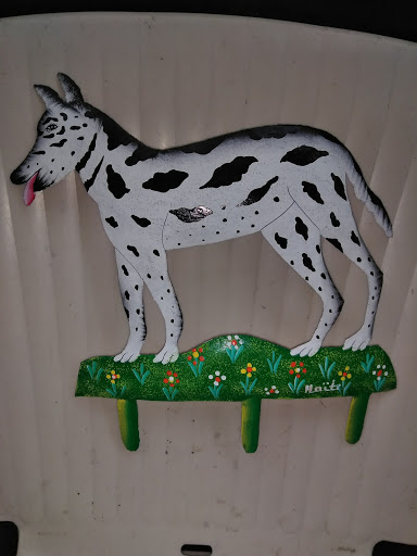 Sportswear Store «Shoe Gallery», reviews and photos, 244 NE 1st Ave, Miami, FL 33132, USA