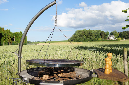 Barbecue & vigne - Barbecues Danois haut de gamme et ceps de vigne pour griller sainement à Grez-Doiceau