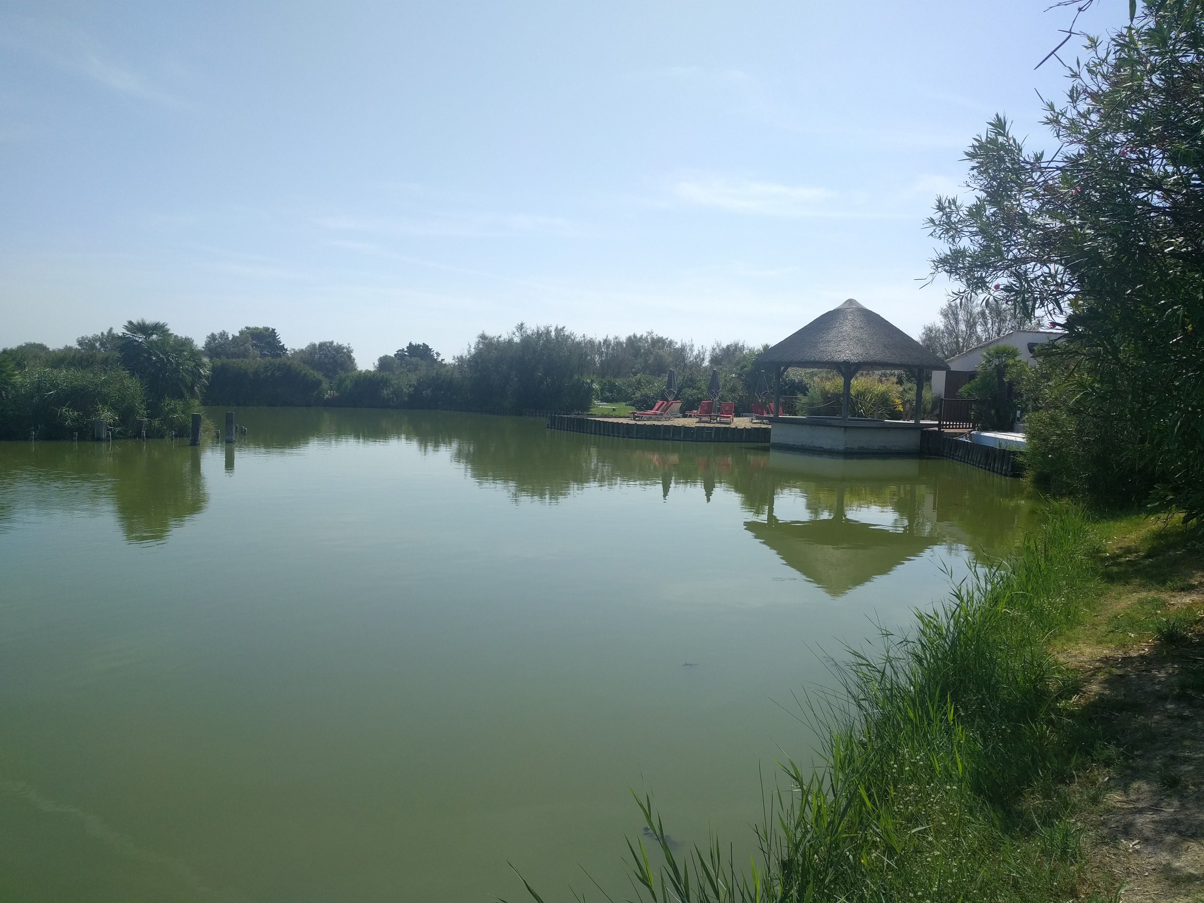 Photo n° 16 de l'avis de Sergi. fait le 03/09/2017 à 12:39