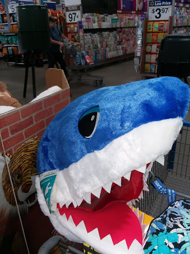 Department Store «Walmart Supercenter», reviews and photos, 260 Donald E Thurmond Pkwy, Cleveland, GA 30528, USA