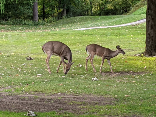 Golf Course «Cherry Ridge Golf», reviews and photos, 1211 W River Rd N, Elyria, OH 44035, USA