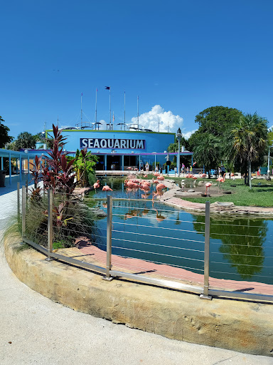 Aquarium «Miami Seaquarium», reviews and photos, 4400 Rickenbacker Causeway, Key Biscayne, FL 33149, USA