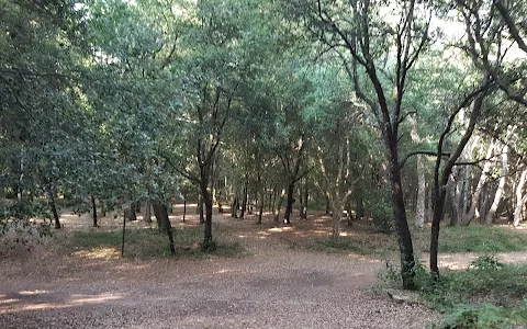 Parc naturel de la Valmasque image